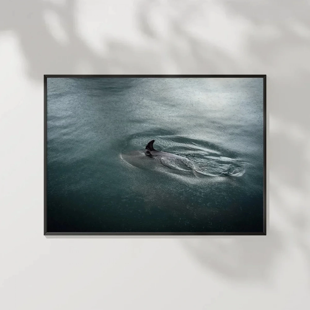 Suyun İçinde Poster