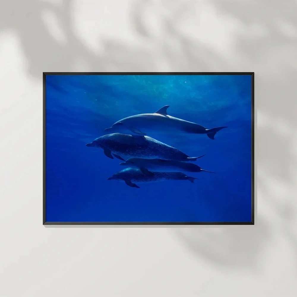 1. Derin Mavi Yunuslar Poster