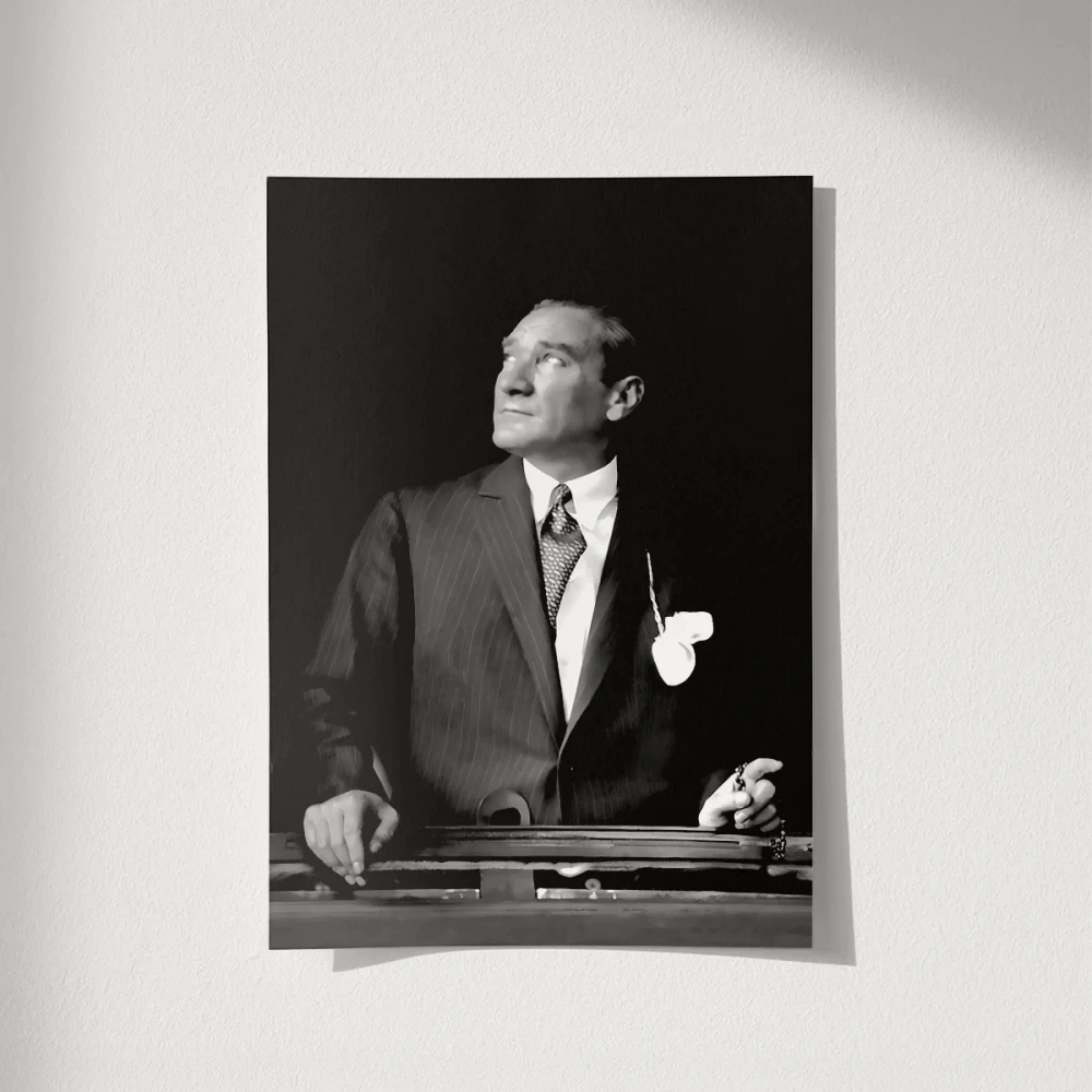 Çerçevesiz Poster Ufka Bakan Lider