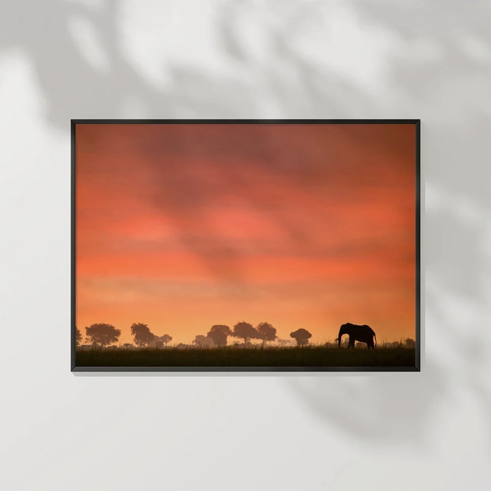 Afrika Gün Batımı Poster