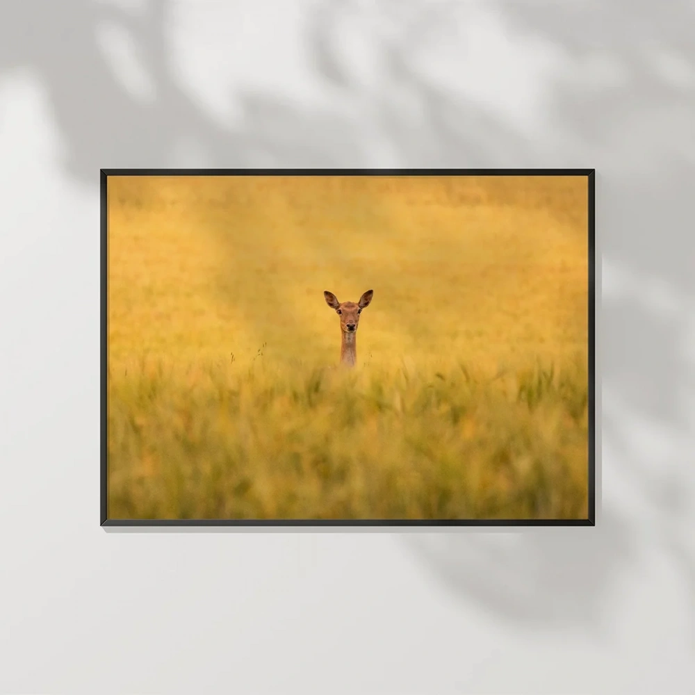 Altın Tarlada Geyik Poster