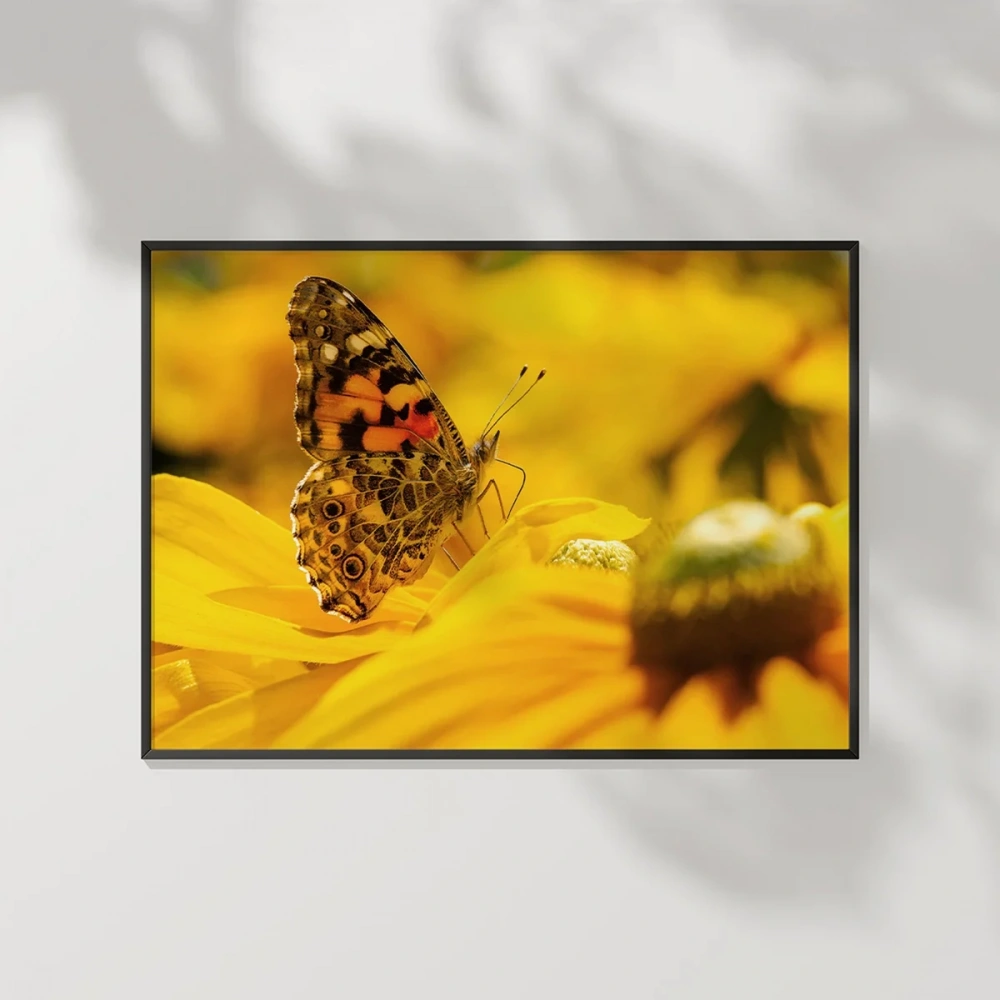 Ayçiçeği ve Kelebek Poster