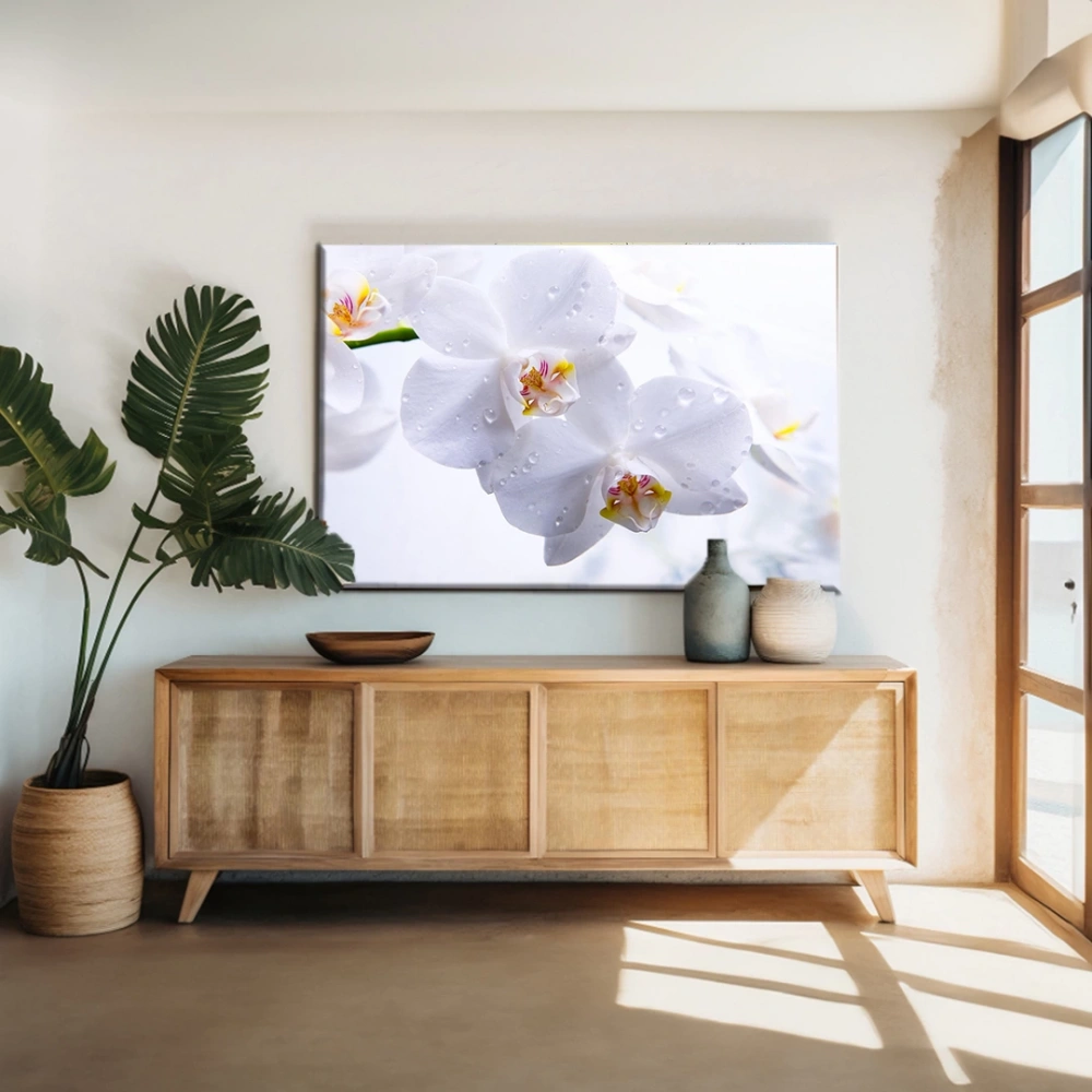 Beyaz Orkide Kanvas Tablo