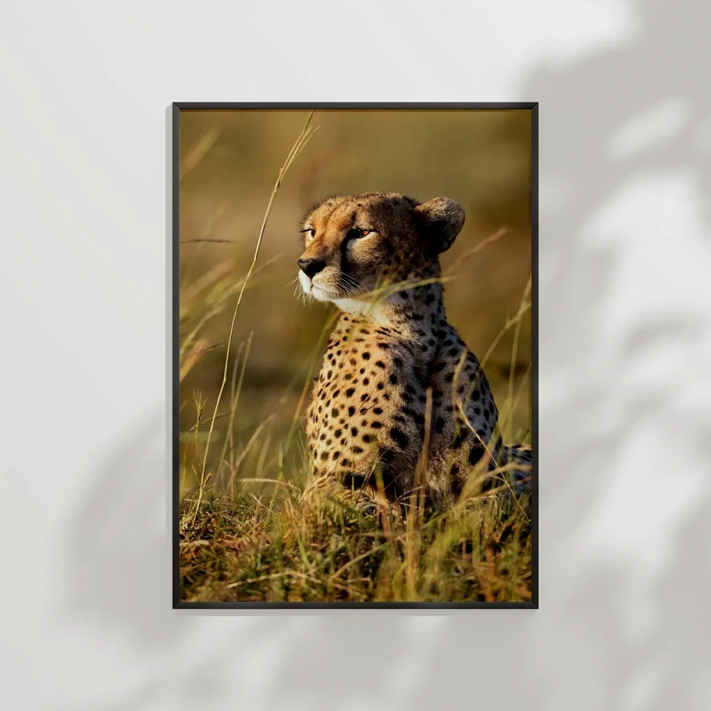 Çayırda Oturan Çita Poster