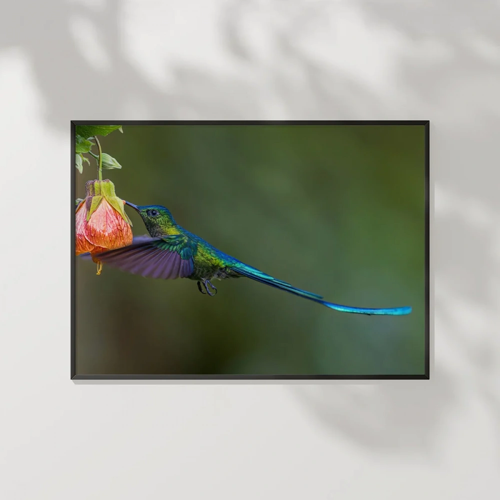 Çiçekle Dans Eden Kuş Poster