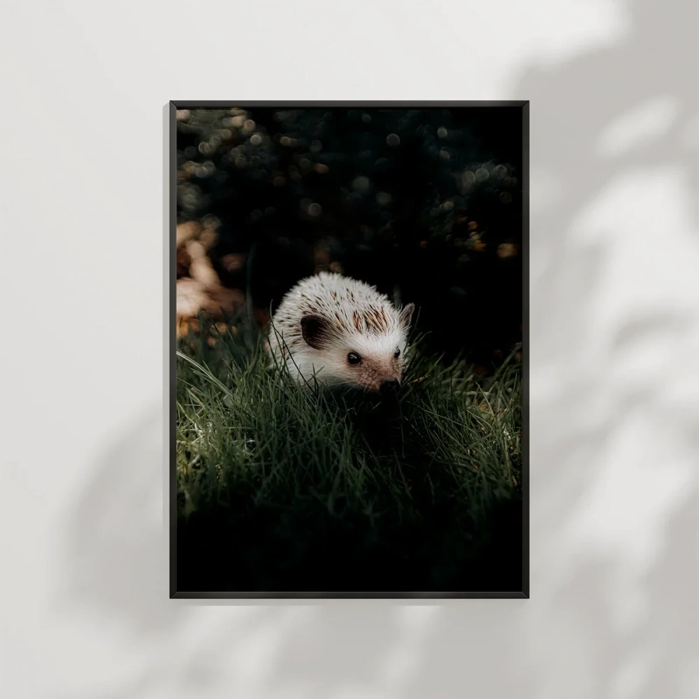 Çimenlerde Sansar Poster