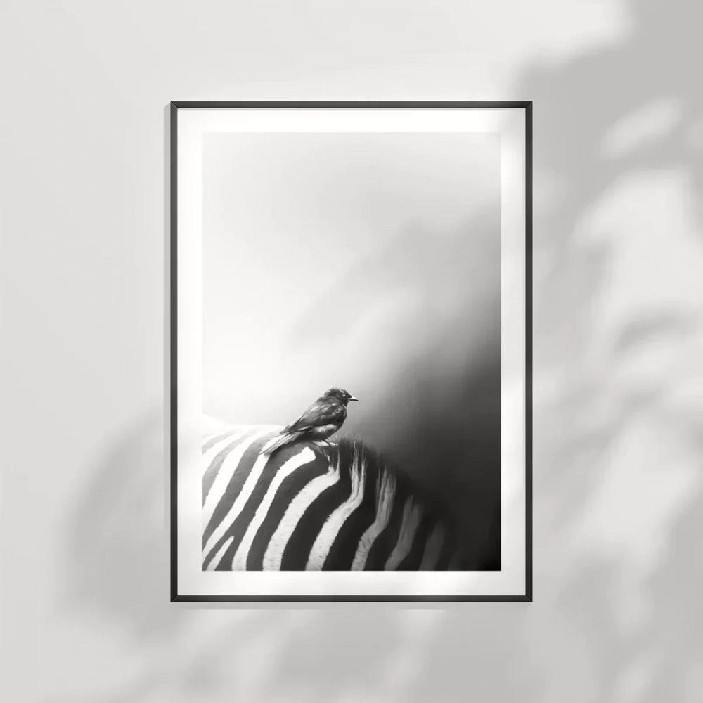 Çizgilerin Üzerinde Poster