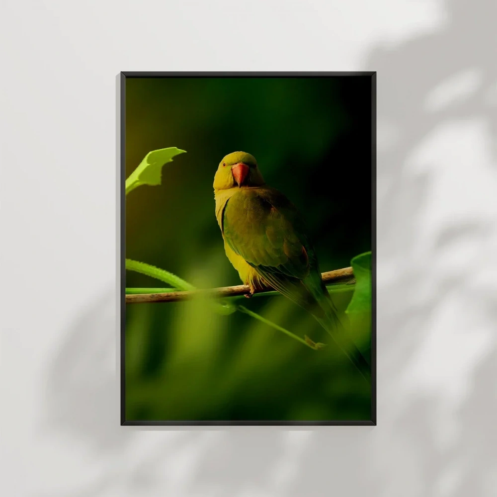 Dal Üzerinde Papağan Çifti Poster