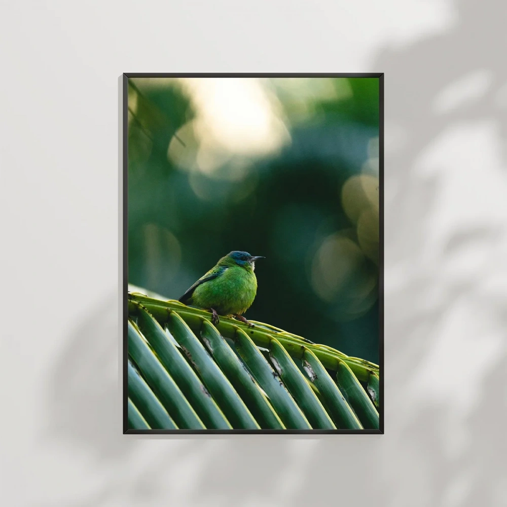 Daldaki Yeşil Kuş Poster