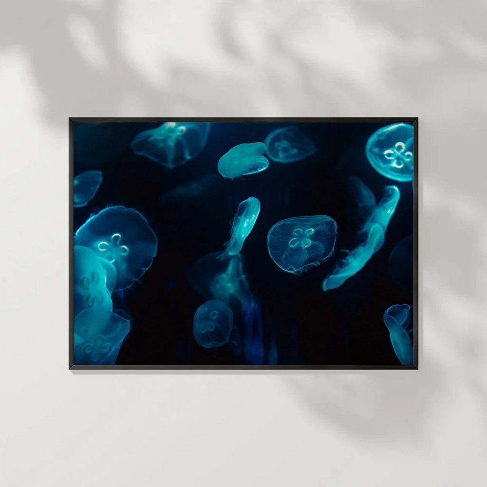 Deniz Hayvanları Poster