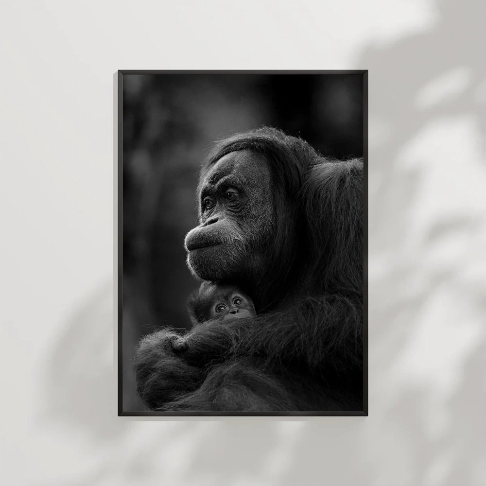 Düşünen Maymun Poster