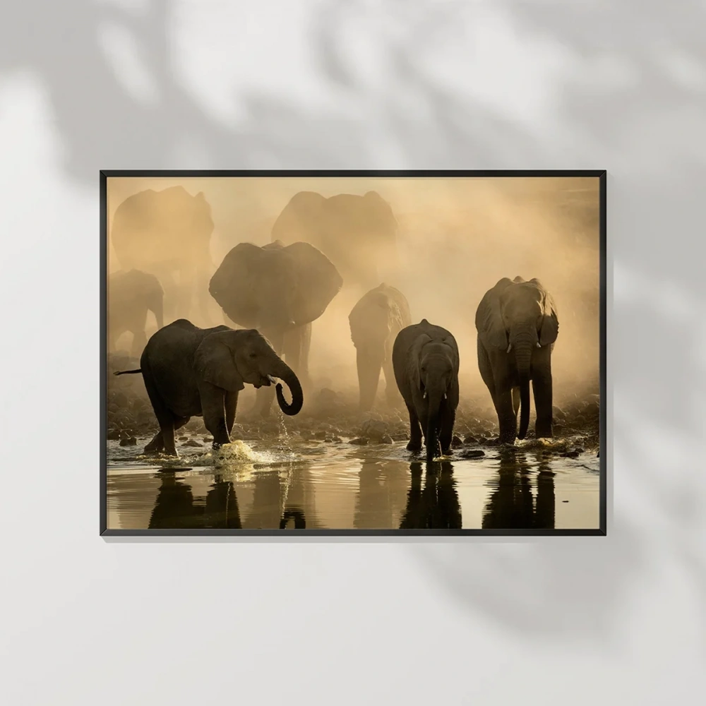 Fil Ailesi Gün Batımı Poster