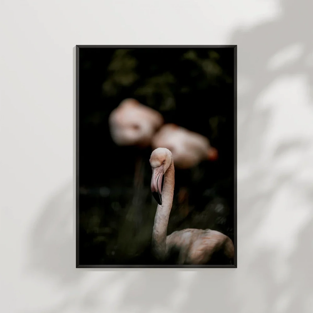 Flamingo Çifti Poster