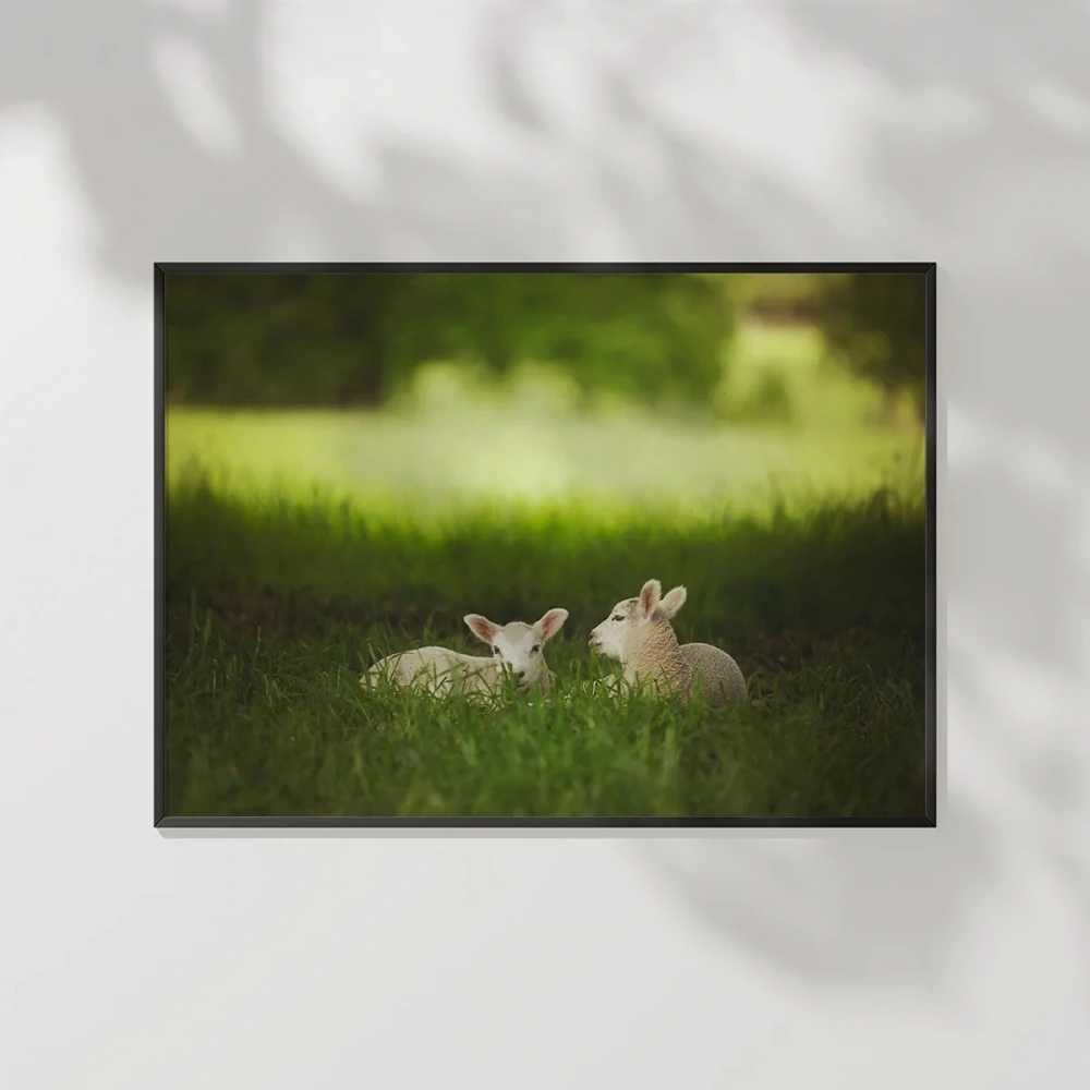 Geyik Bahar İkilisi Poster