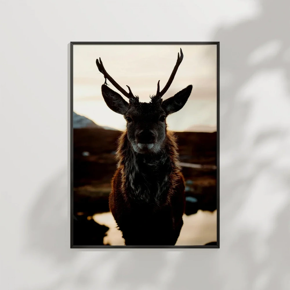 Göl Kenarında Geyik Poster