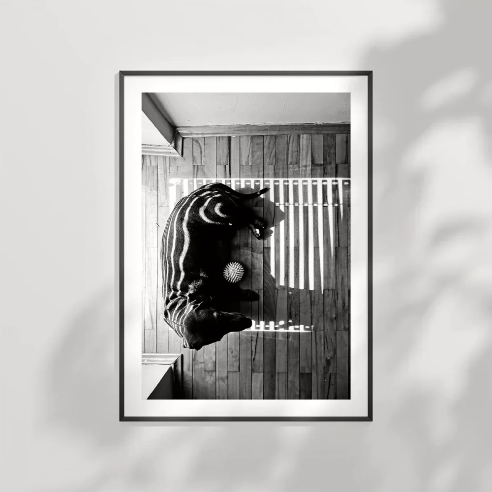 Gölge Oyunları Poster