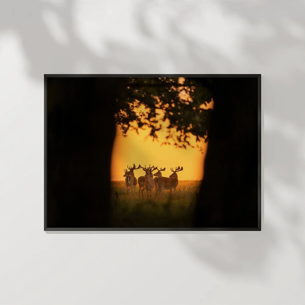 Gün Batımında Ceylanlar Poster