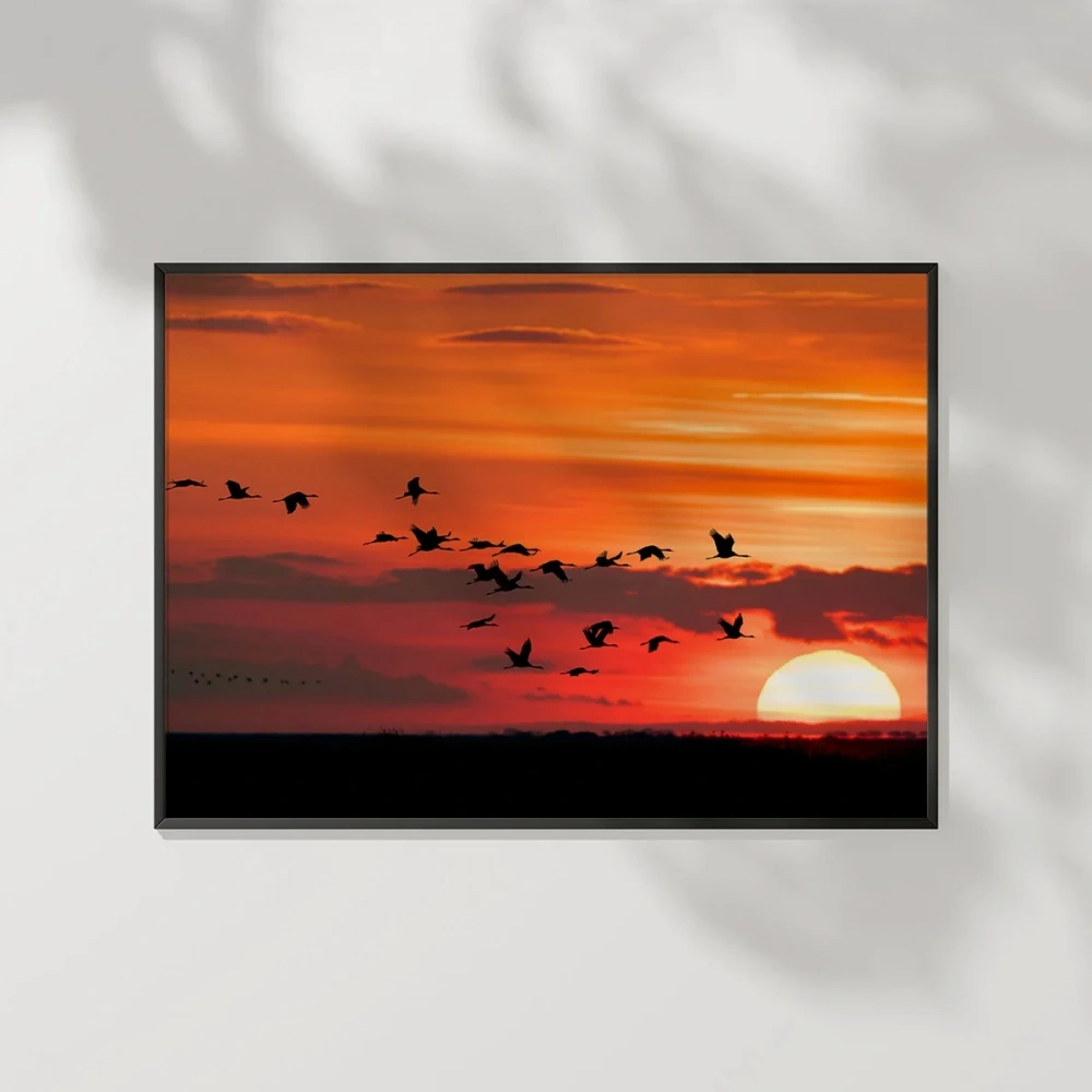 Gün Batımında Kuşlar Poster