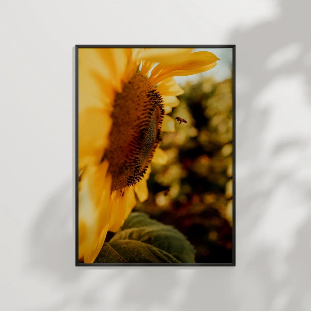 Günebakan Çiçeği ve Arı Poster