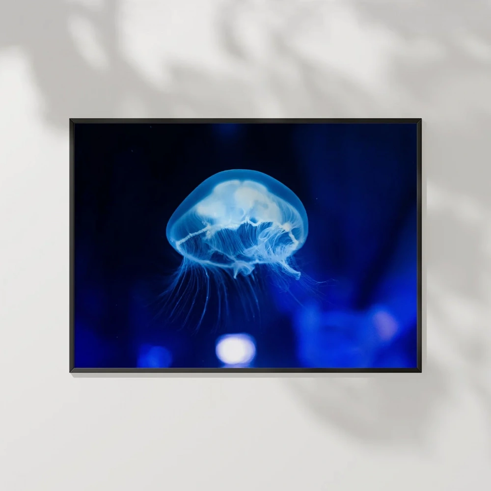 Işıkta Yüzen Meduza Poster