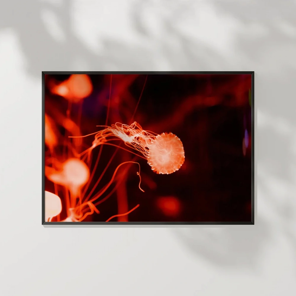 Jellyfish Bubbles Poster