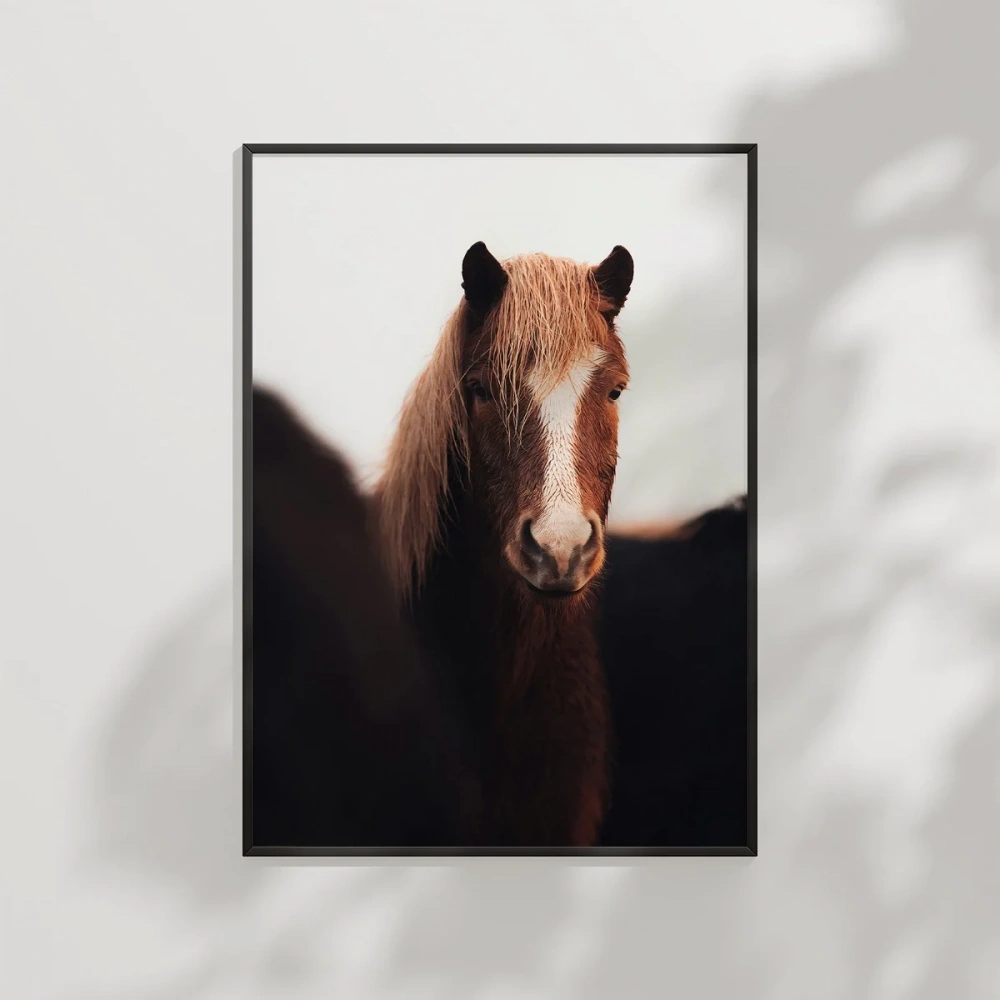 Kahverengi At Portresi