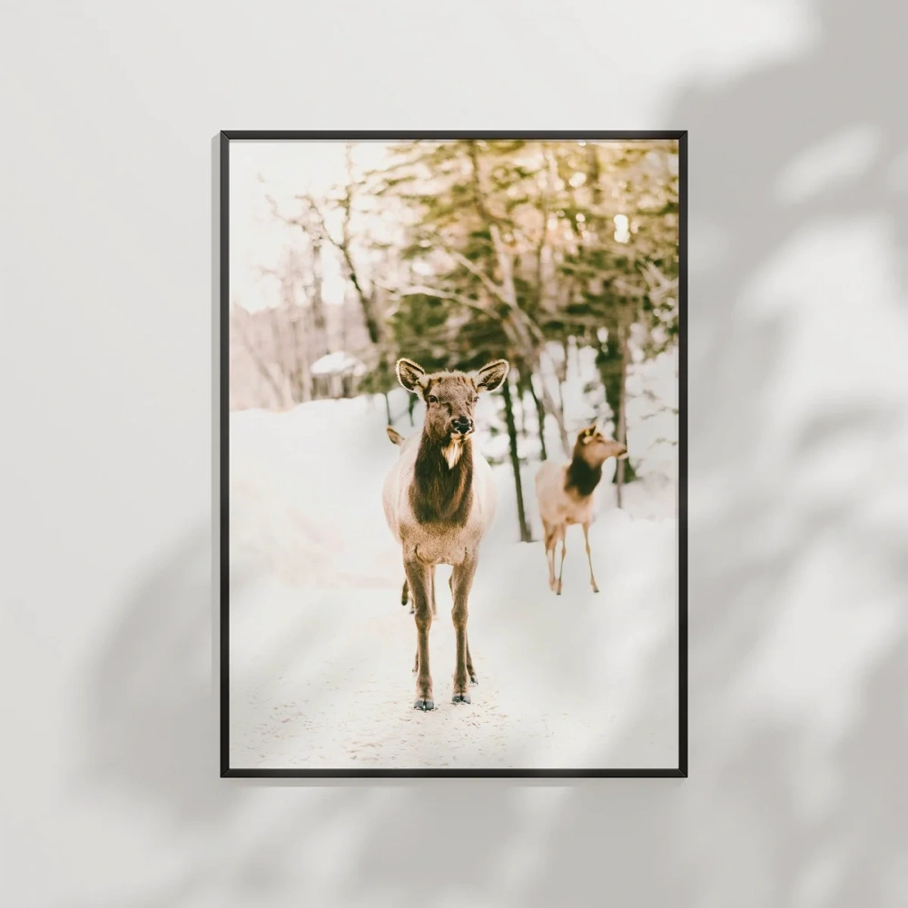 Karda Yürüyen Geyikler Poster