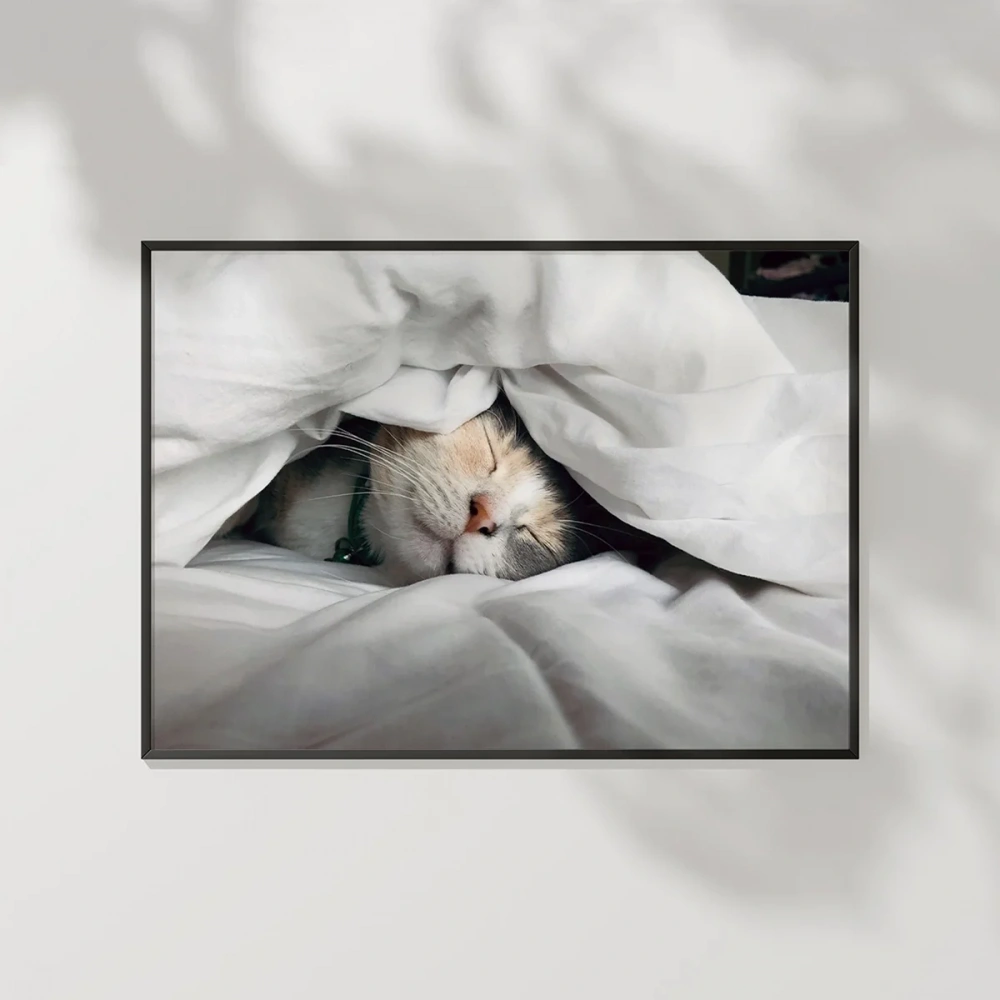 Kedili Uykular Poster