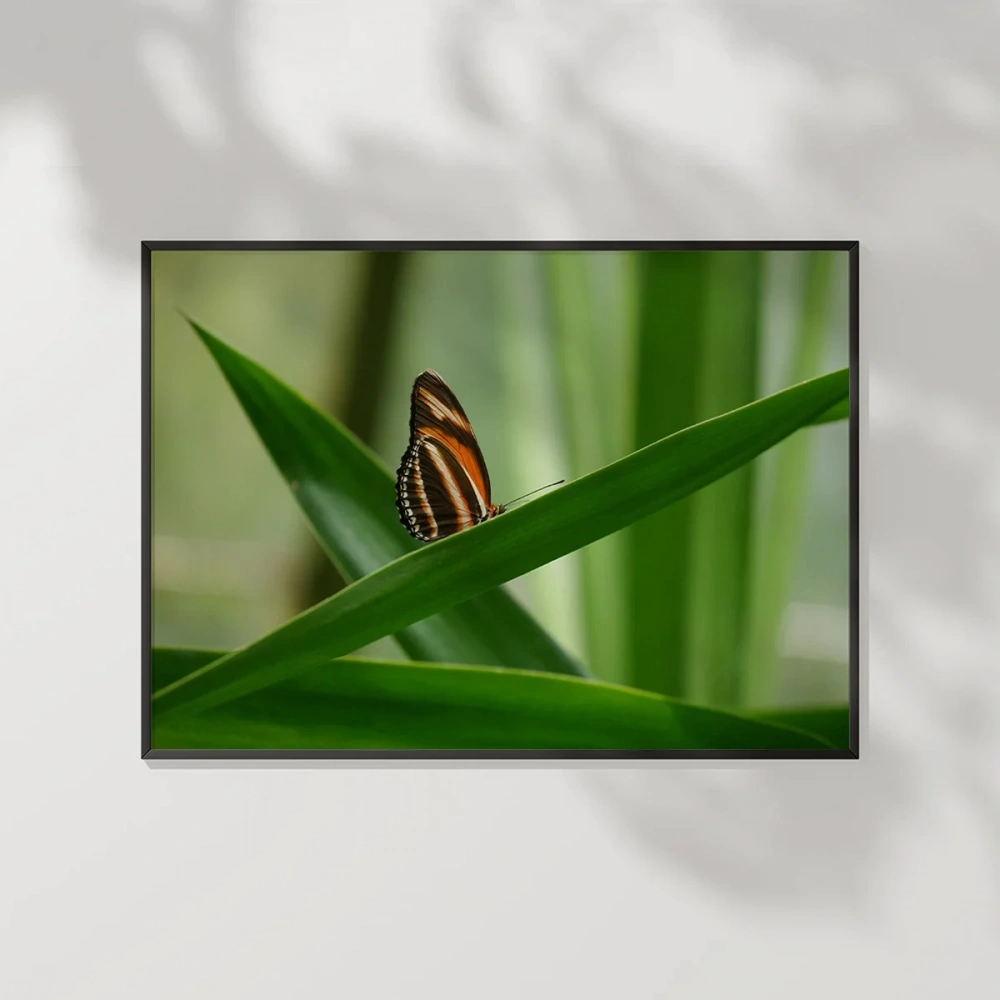 Kelebek Baharı Poster