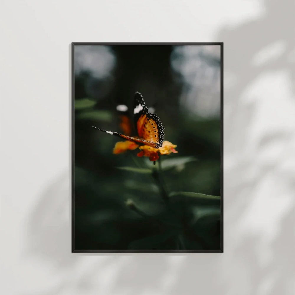 Kelebek ve Çiçek Poster