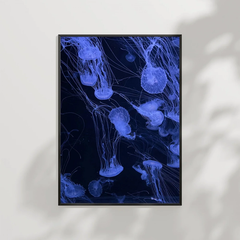 Mavi Denizanası Poster