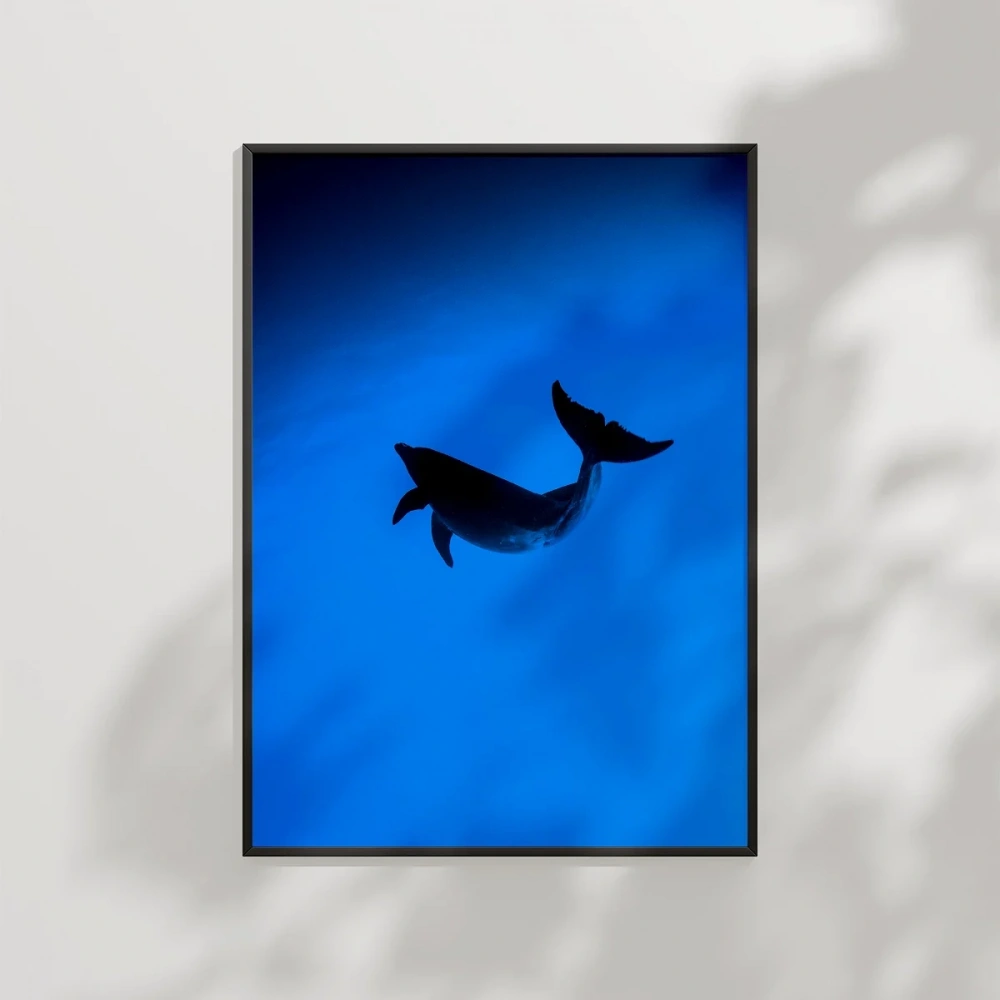 Mavi Denizde Yüzen Yunuslar Poster