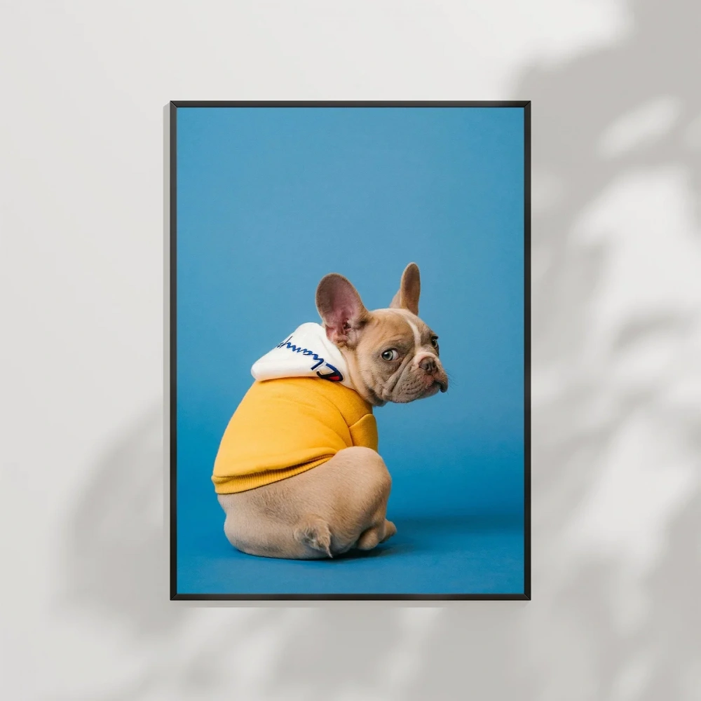 Mavi Fondaki Sarı Ceketli Köpek Poster