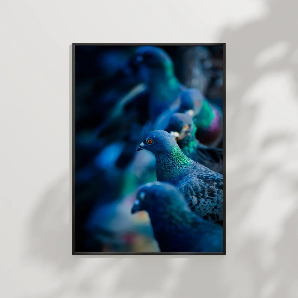 Mavi Güvercinler Poster