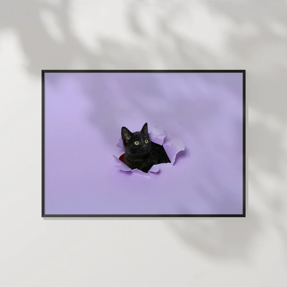 Mor Fon Üzerinde Siyah Kedi Poster