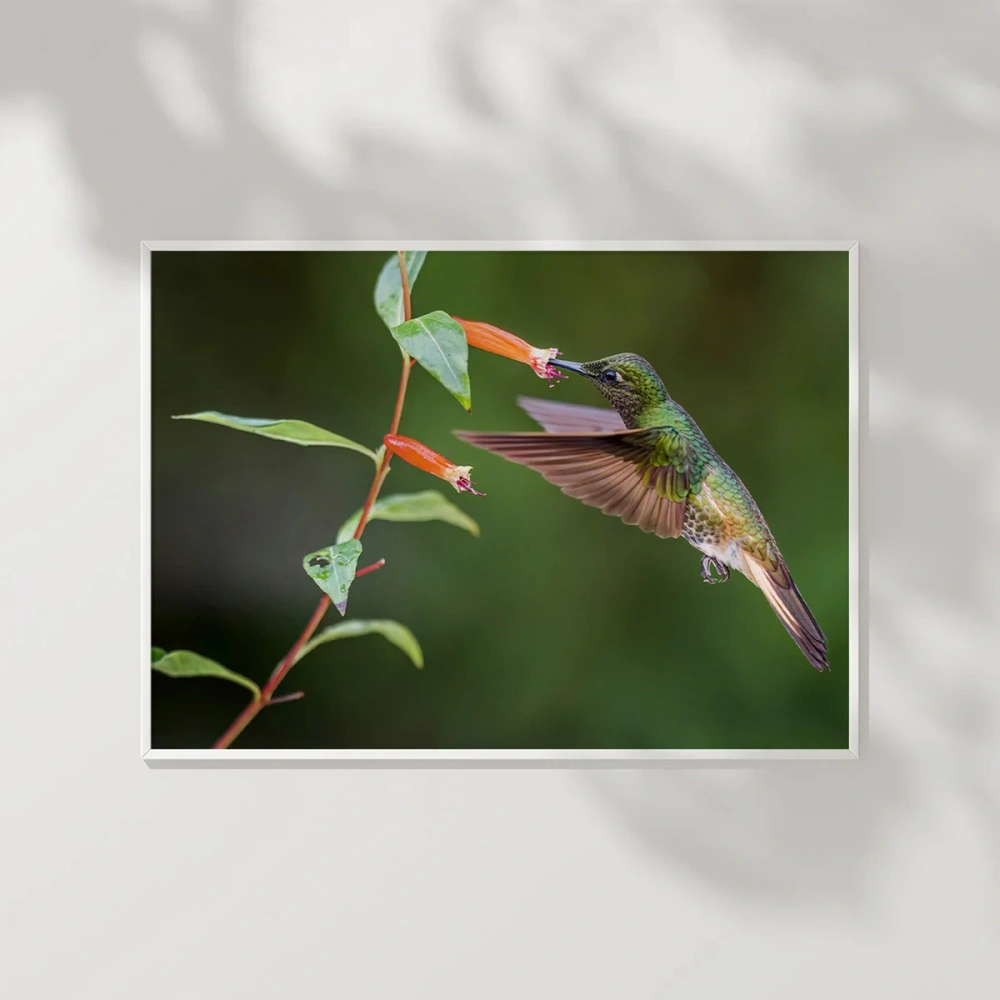 Nektar Ziyafeti Poster