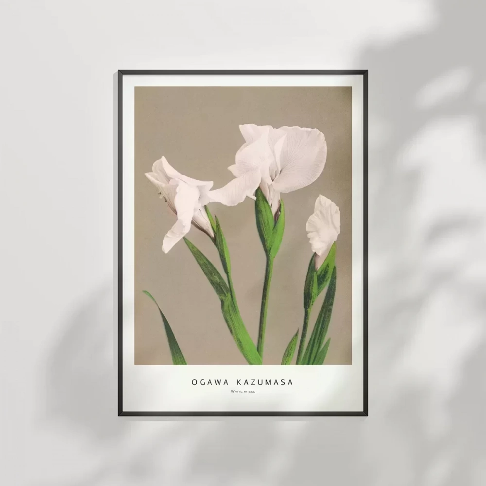 Ogawa Kazumasa Beyaz Süsen Poster