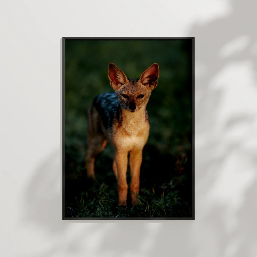 Ormanda Yavru Ceylan Poster