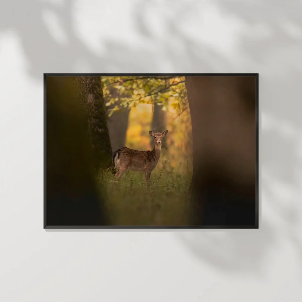 Ormandaki Geyik Poster