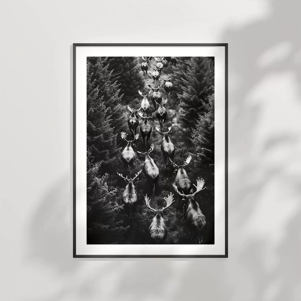 Ormanın Sessiz Sürüsü Poster