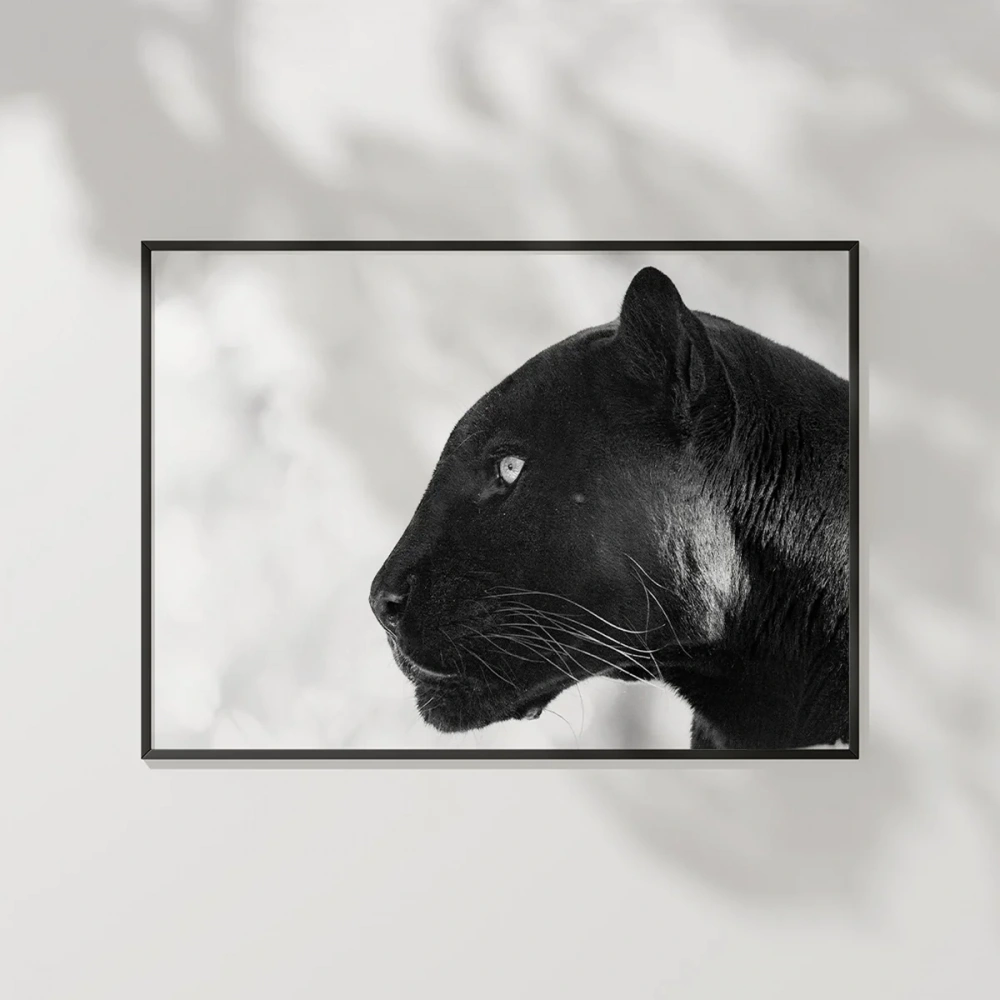 Panter Portresi Poster