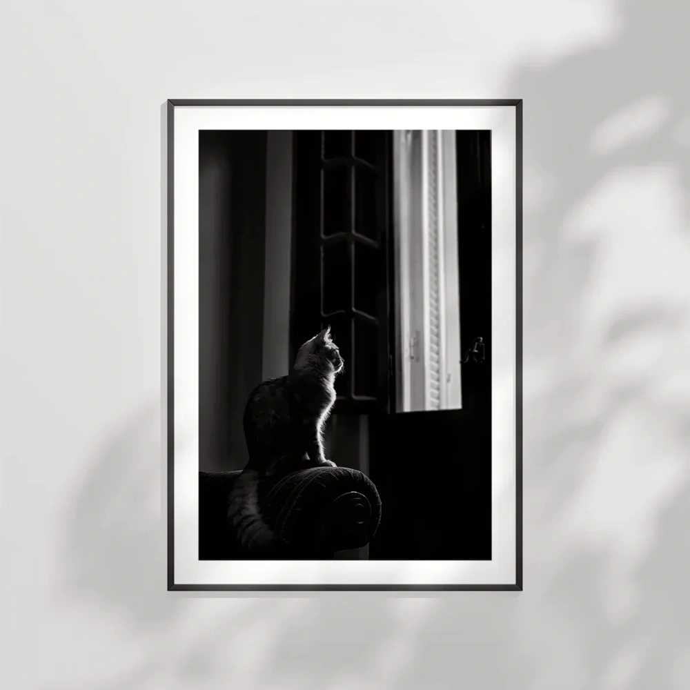 Pencere Önünde Düşler Poster