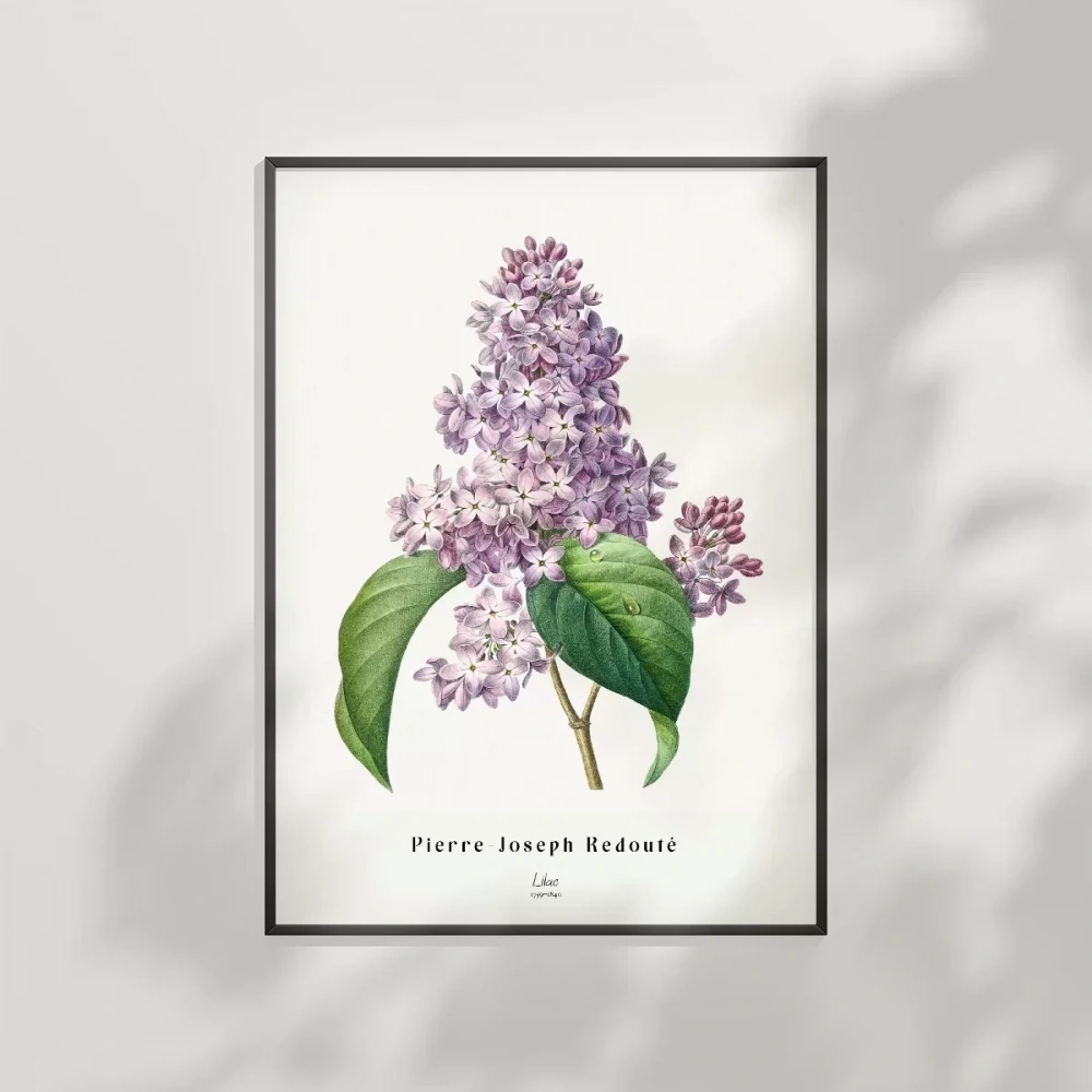Pierre Joseph Redoure Lilac Poster