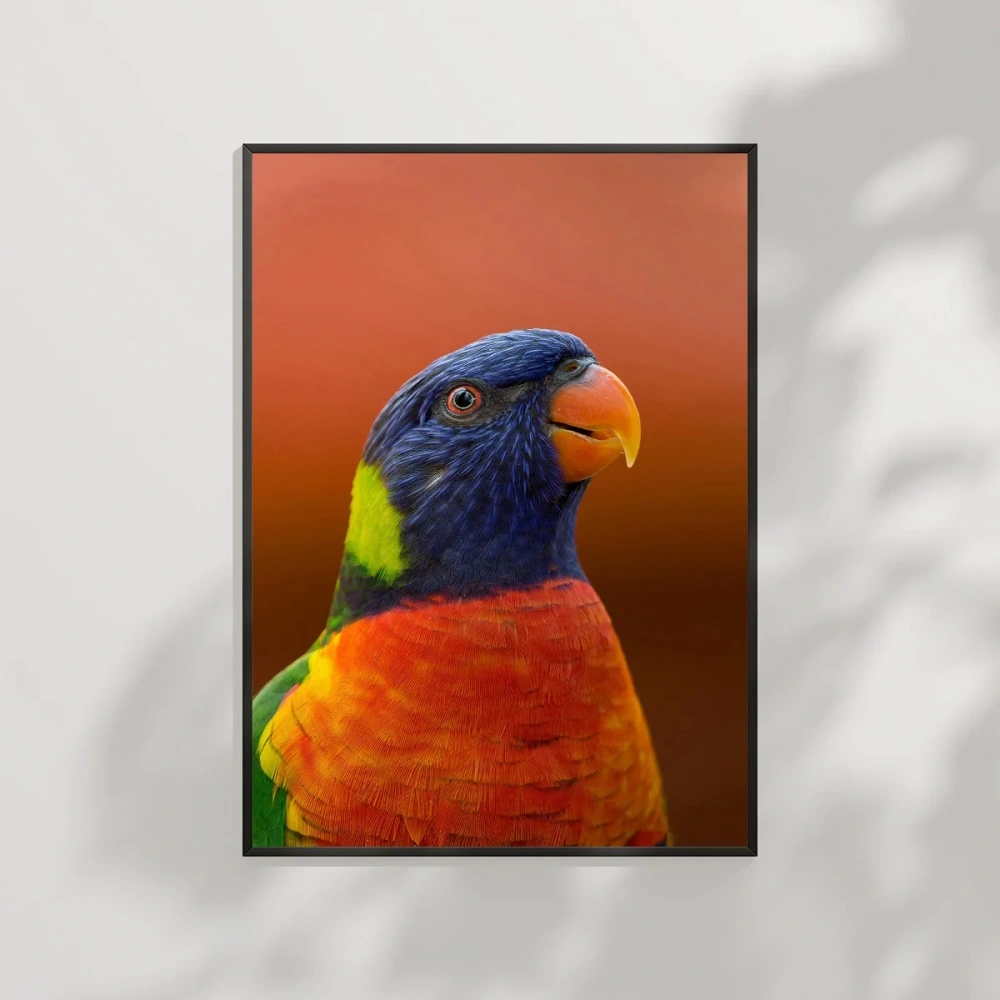 Renkli Papağan Portresi Poster