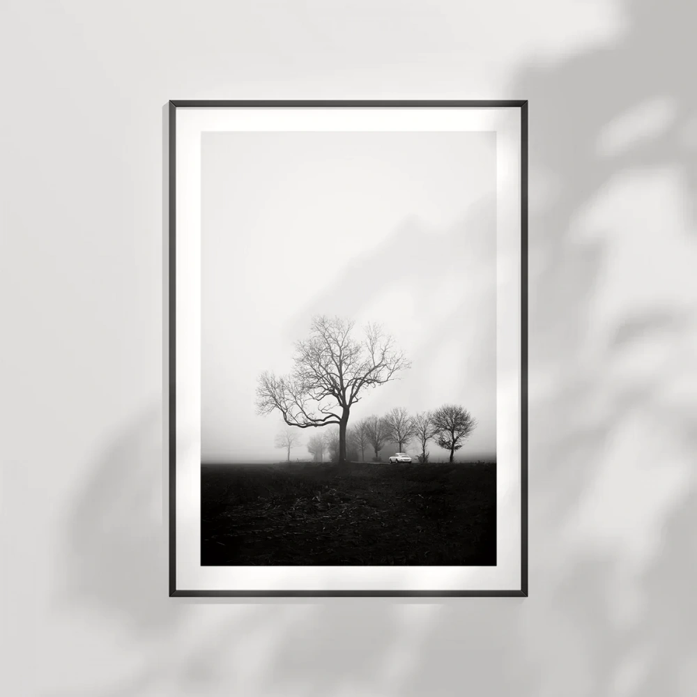 Sessiz Bir Sabah Poster