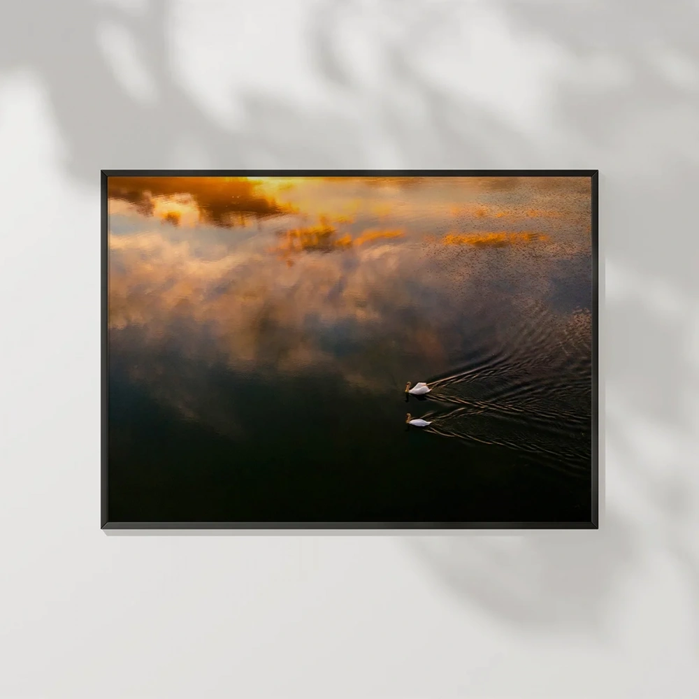 Sisli Göl Üzerinde Kuş Poster