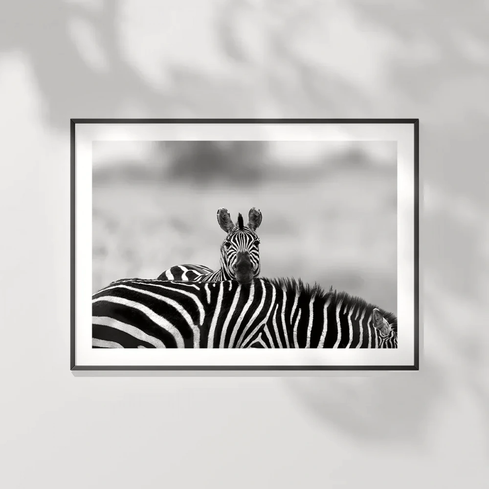 Siyah Beyaz Denge Poster