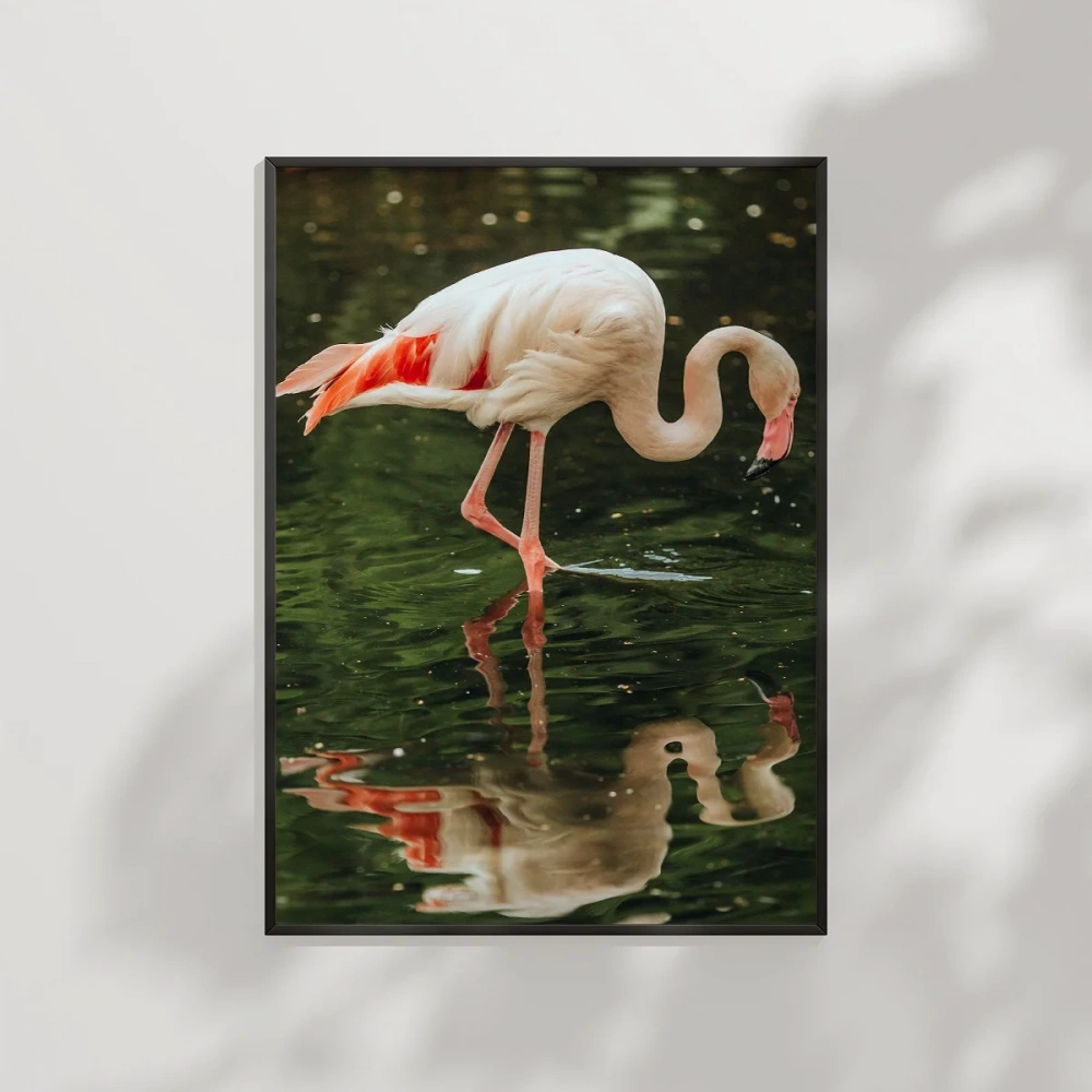 Su Kenarında Flamingo Poster