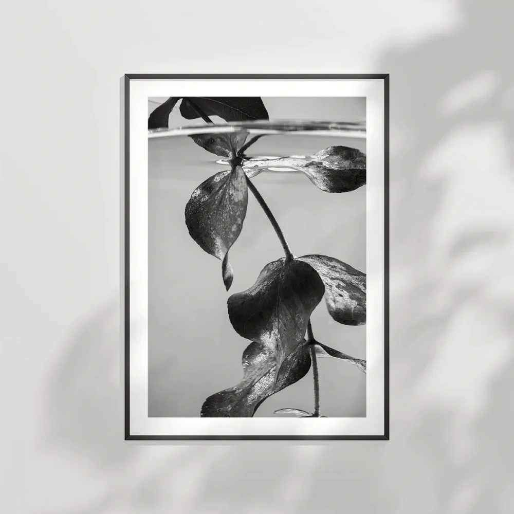 Suyun Altındaki Hayat Poster