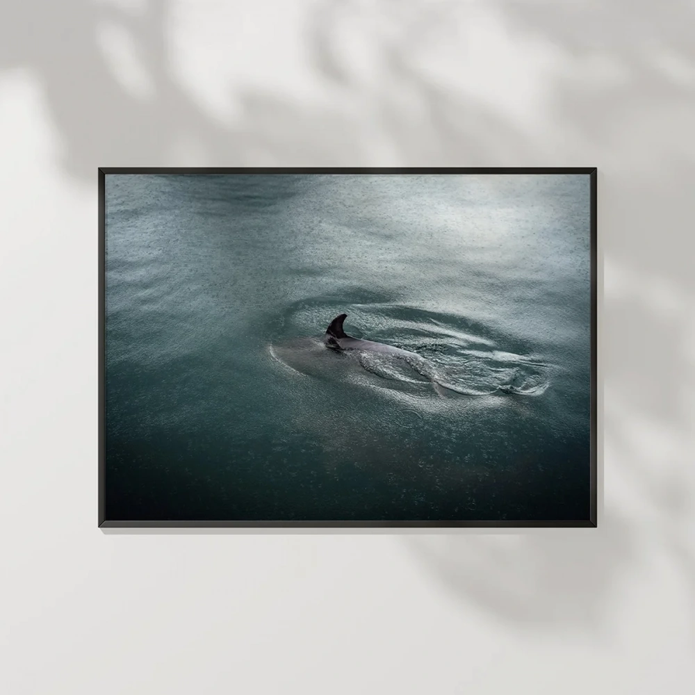 Suyun İçinde Poster